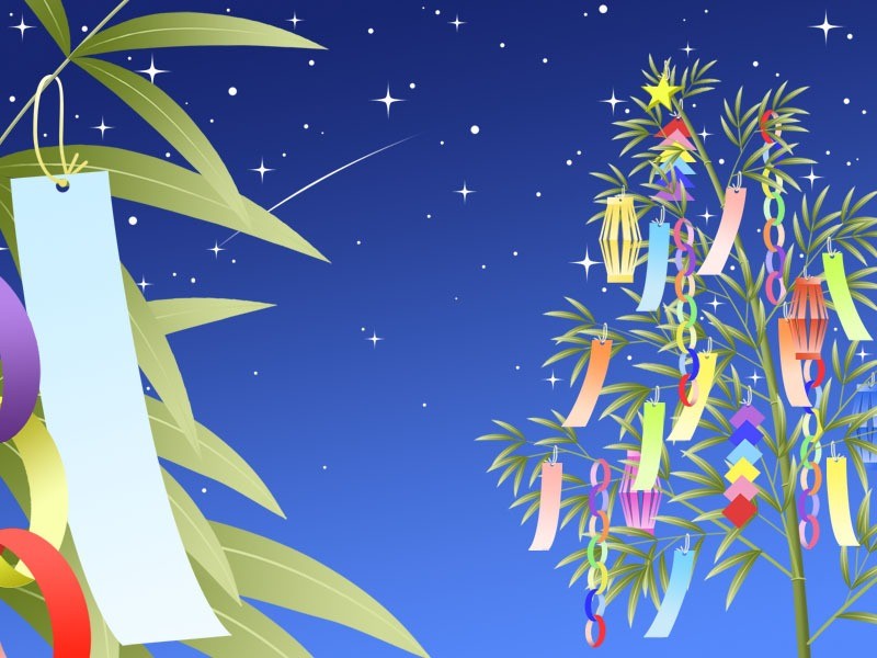 活動報告│今日は七夕です