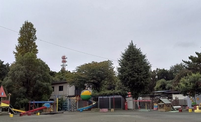 活動報告│埼玉県の幼稚園と千葉県の高齢者施設で演奏をさせていただきました