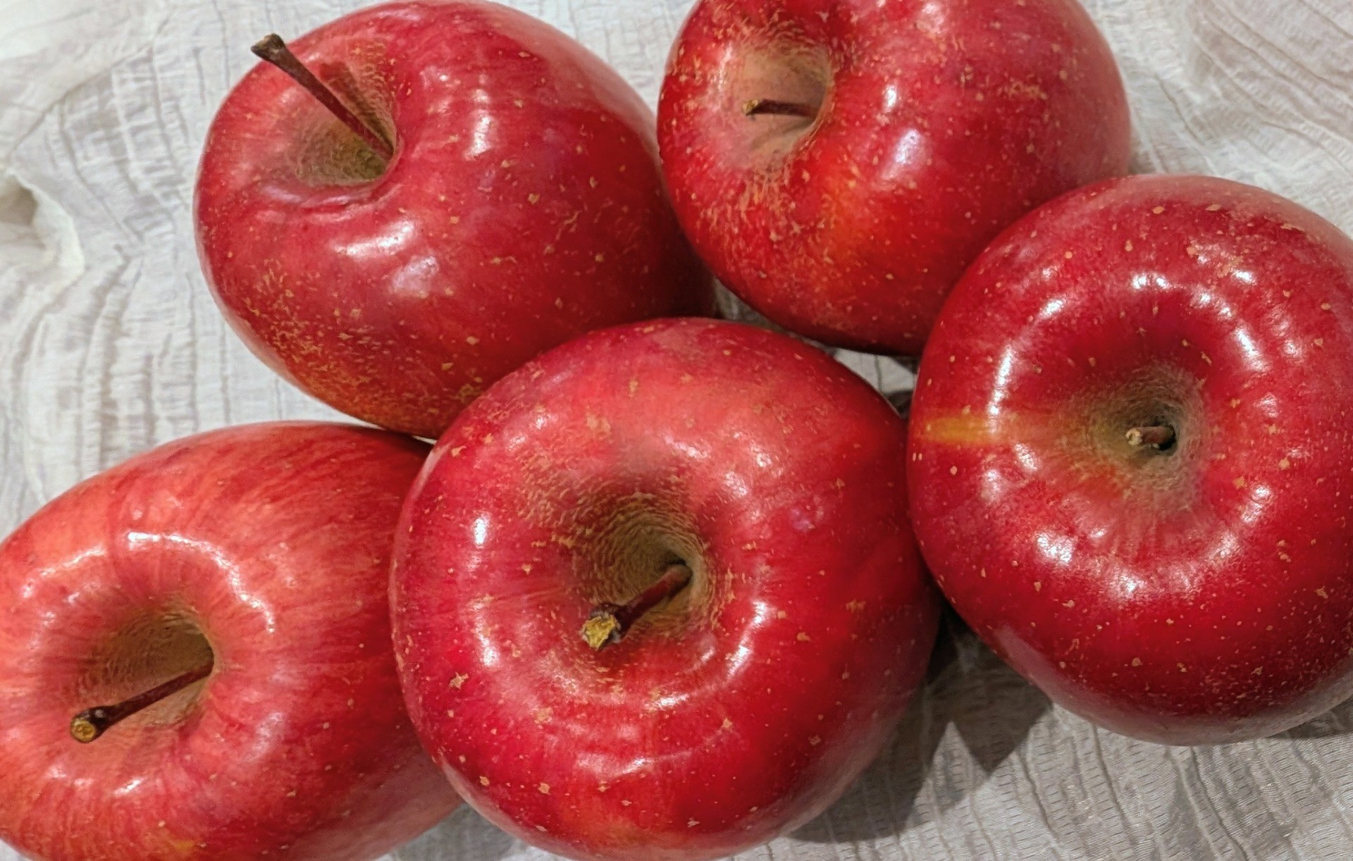 活動報告│事務所で仕事をしました