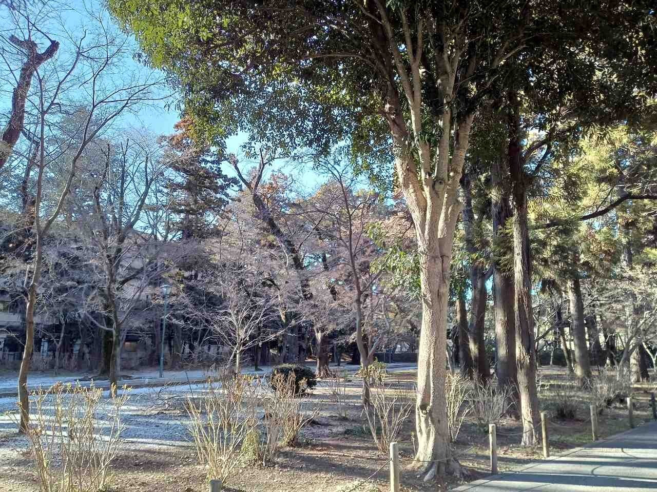 活動報告│千葉県の幼稚園コンサート4日目