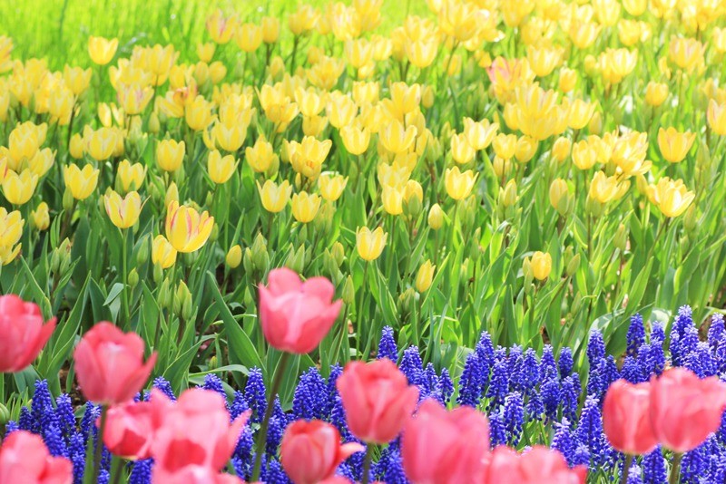 活動報告│名古屋の児童館で演奏させていただきました