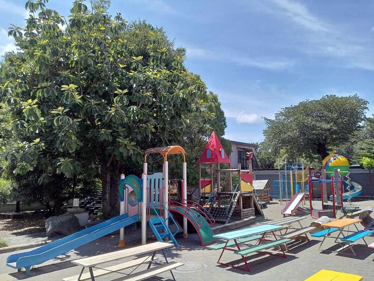 活動報告│千葉県の幼稚園で演奏させていただきました