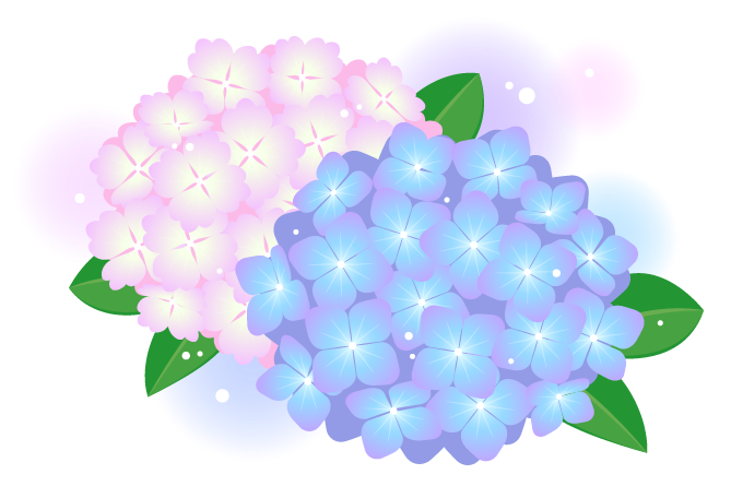 活動報告│事務所作業をしました